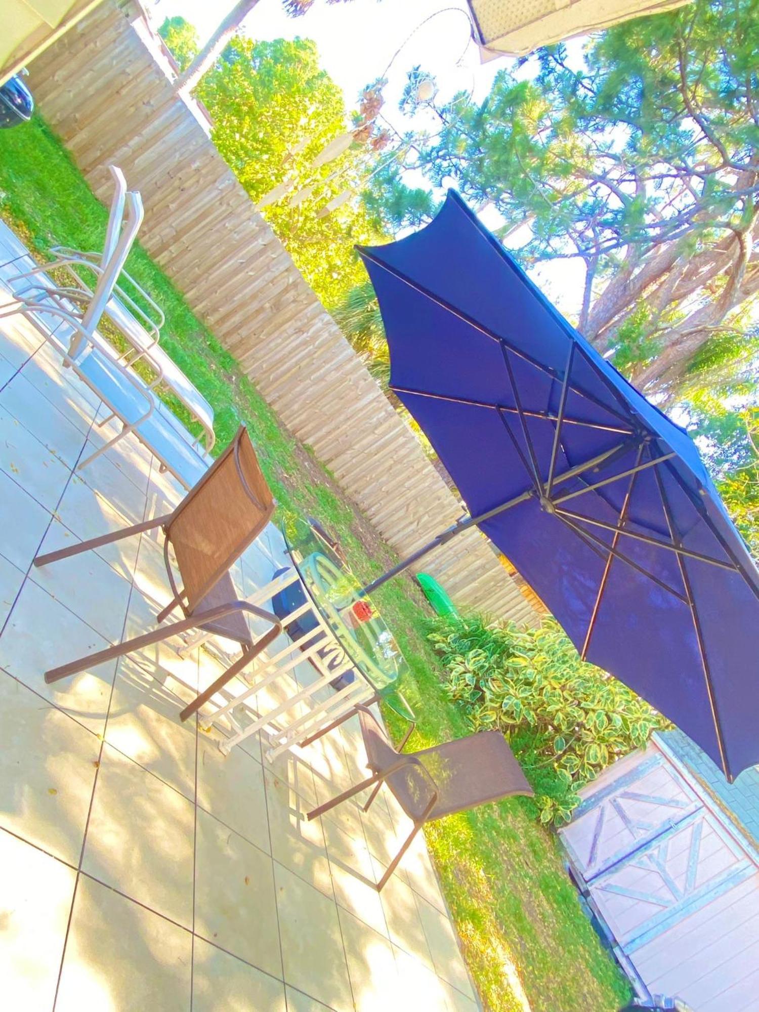 Cozy Studio Only 10 Minutes By Car Of Siesta Key 사라소타 외부 사진